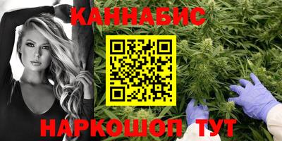 прущие крисы Будённовск