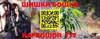 прущие крисы Будённовск
