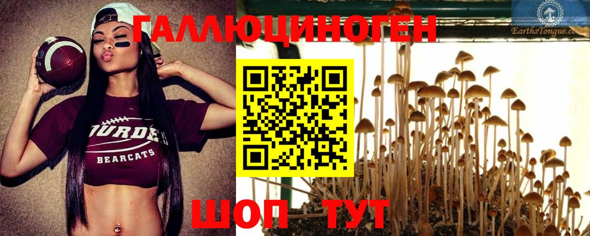 Галлюциногенные грибы GOLDEN TEACHER Корсаков
