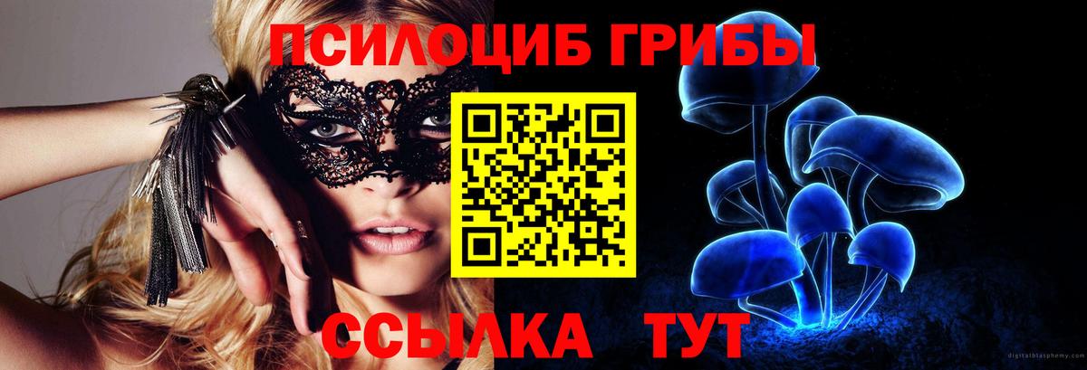 Корсаков  Псилоцибиновые грибы Psilocybine cubensis  Вход с VPN  где можно купить   Псилоцибиновые грибы мухоморы 